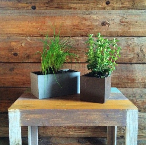 It's a Good "Thyme" to Plant an Indoor Herb Garden