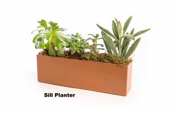 Concrete Sill Planter