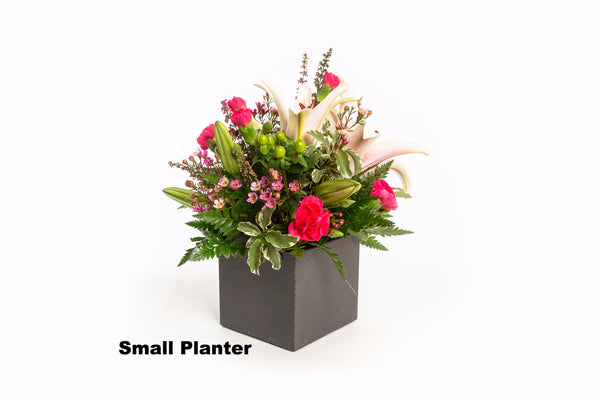 Small Concrete Planter