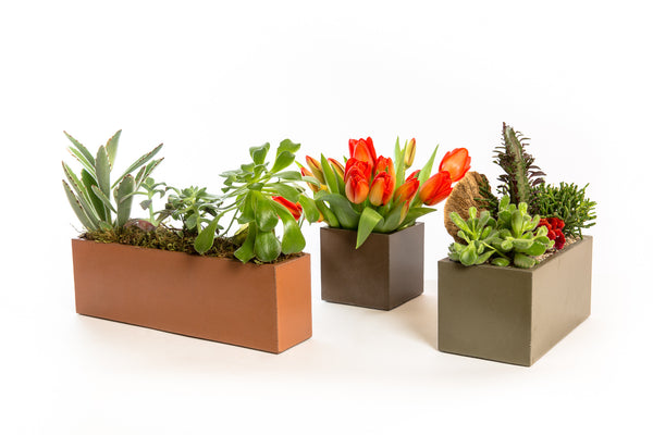 Concrete Planters